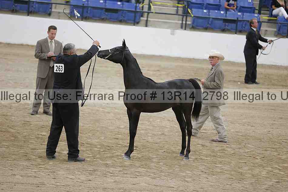 Proof Number 13r14_2798