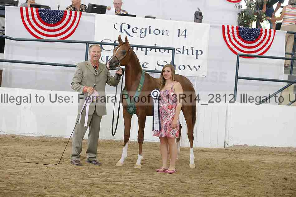 Proof Number 13r14_2812