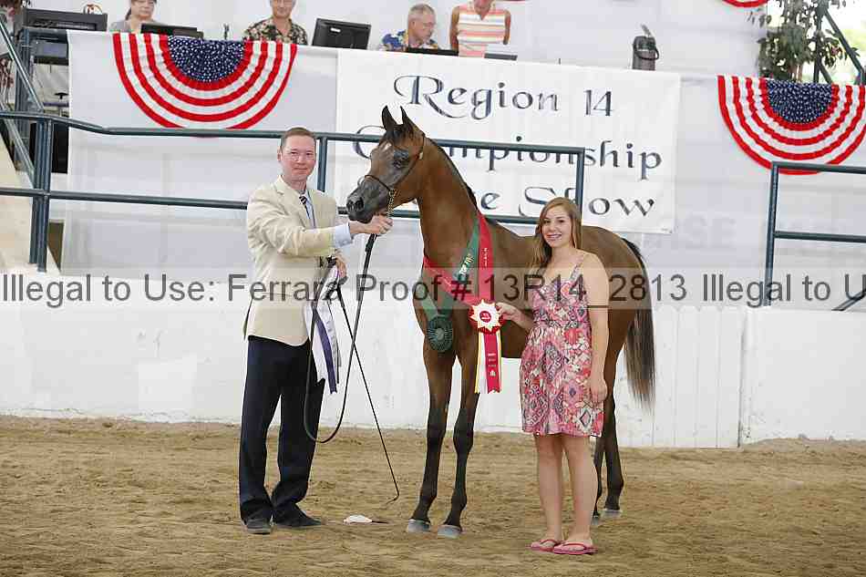 Proof Number 13r14_2813