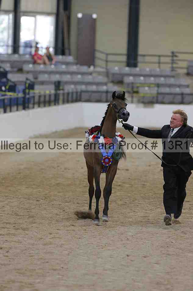 Proof Number 13r14_2828