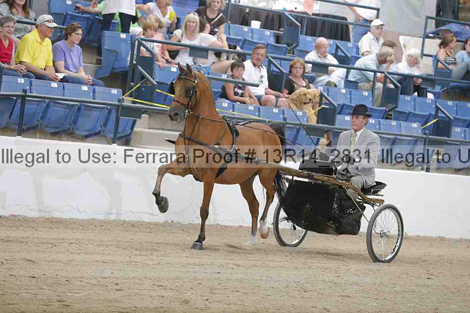 Proof Number 13r14_2831