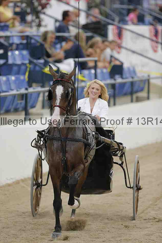 Proof Number 13r14_2834