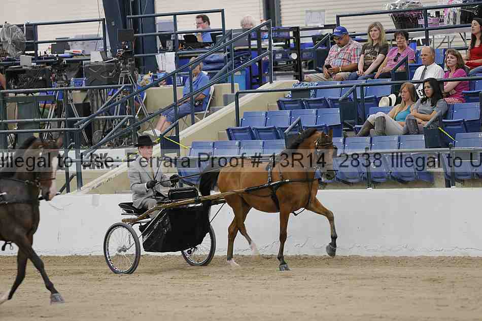 Proof Number 13r14_2838