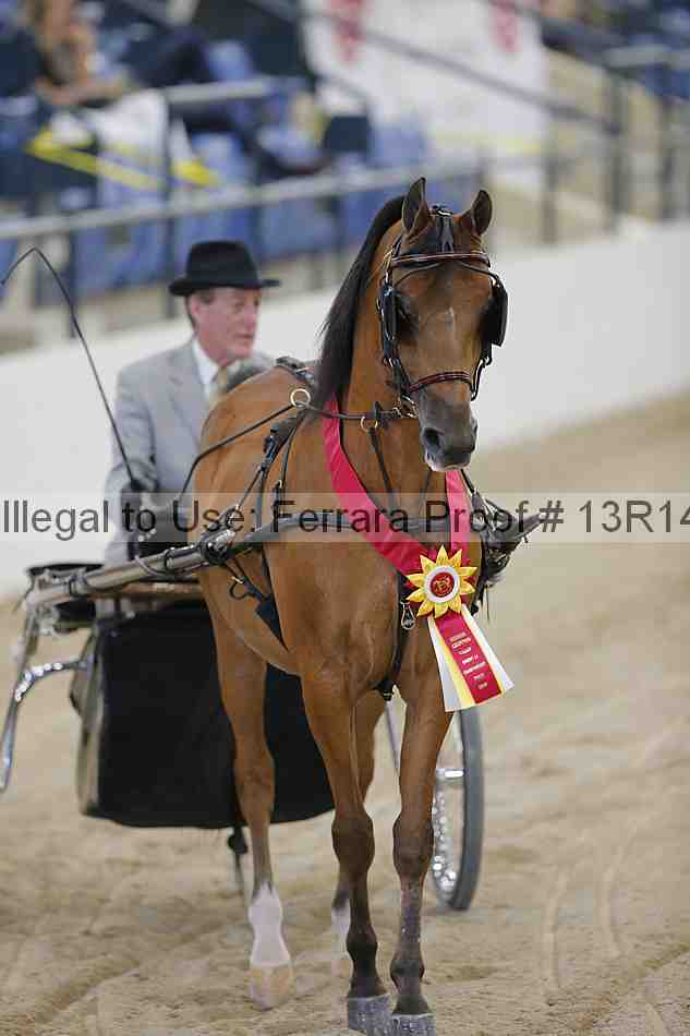 Proof Number 13r14_2841
