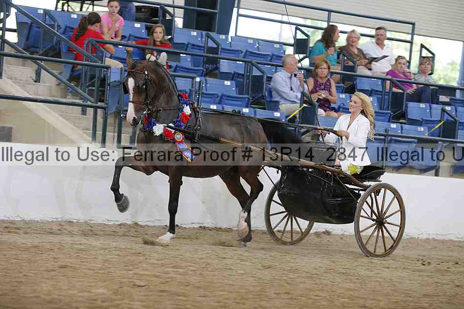 Proof Number 13r14_2847