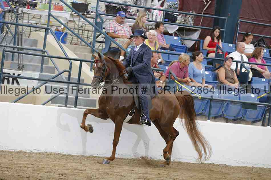 Proof Number 13r14_2864