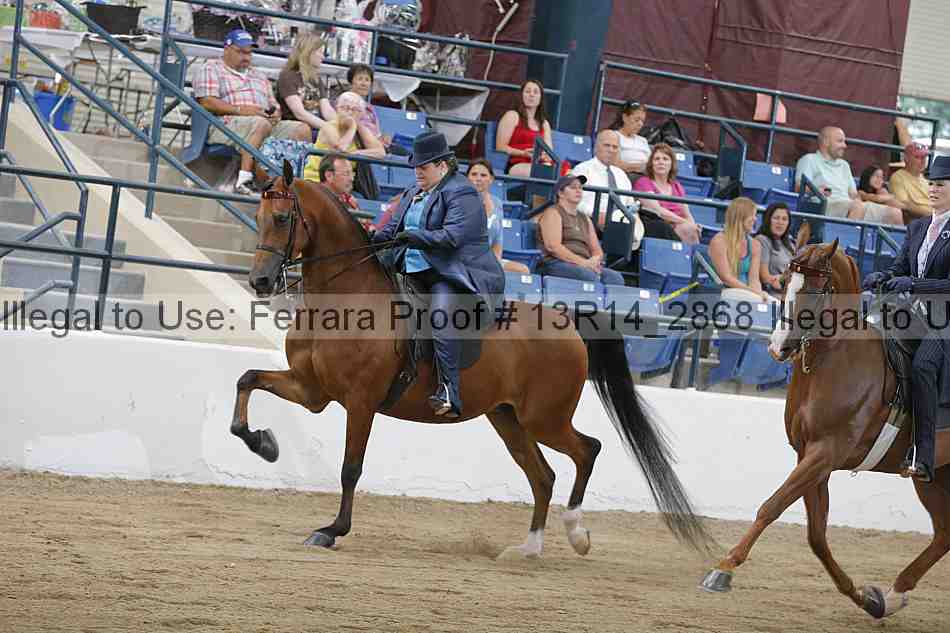 Proof Number 13r14_2868
