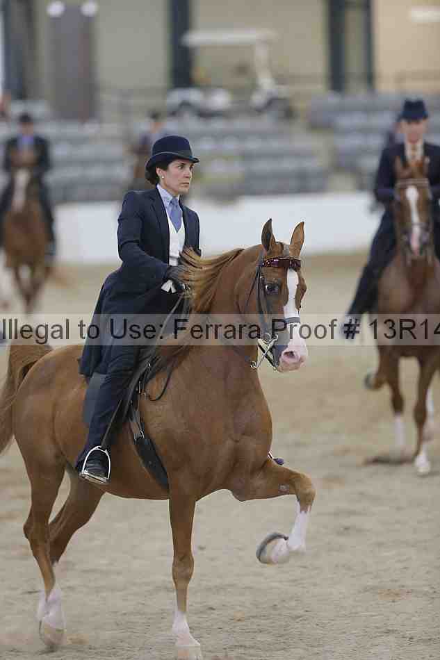 Proof Number 13r14_2873