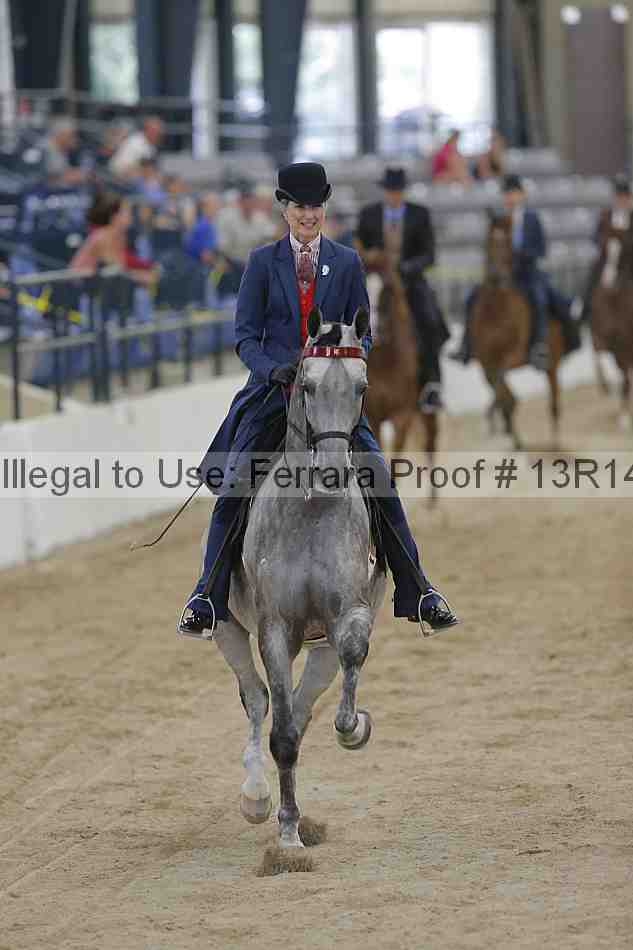Proof Number 13r14_2874