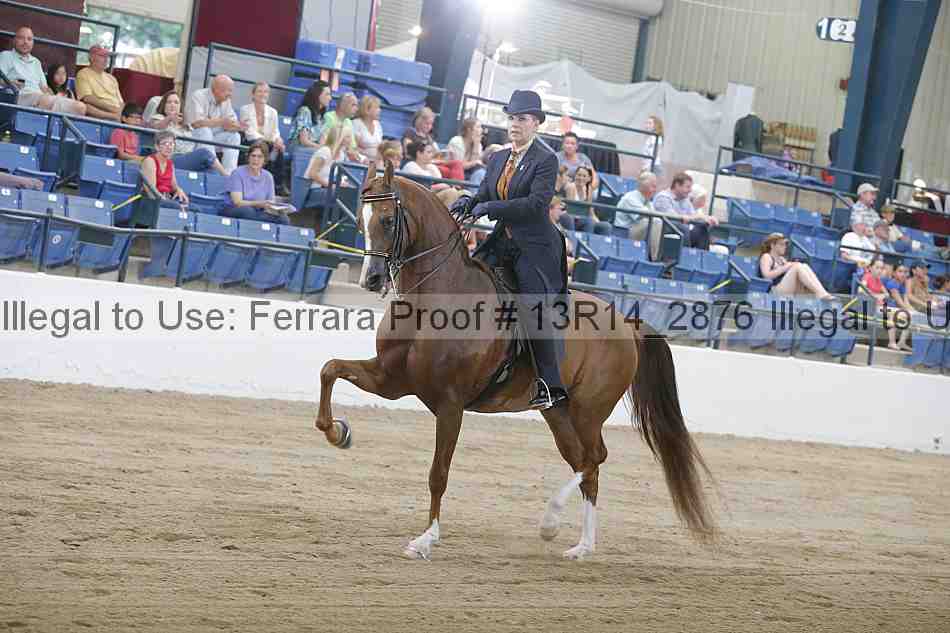 Proof Number 13r14_2876