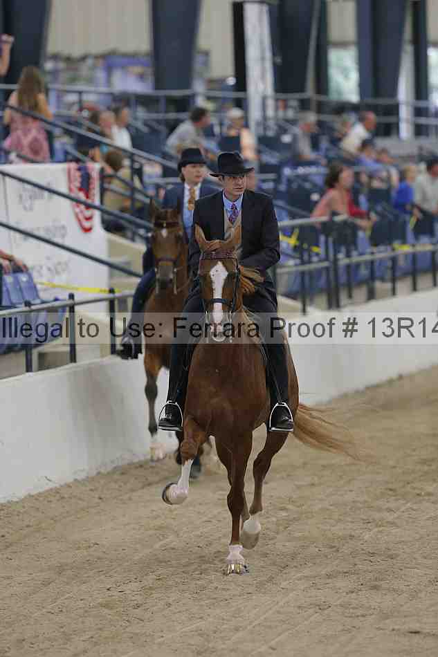 Proof Number 13r14_2877