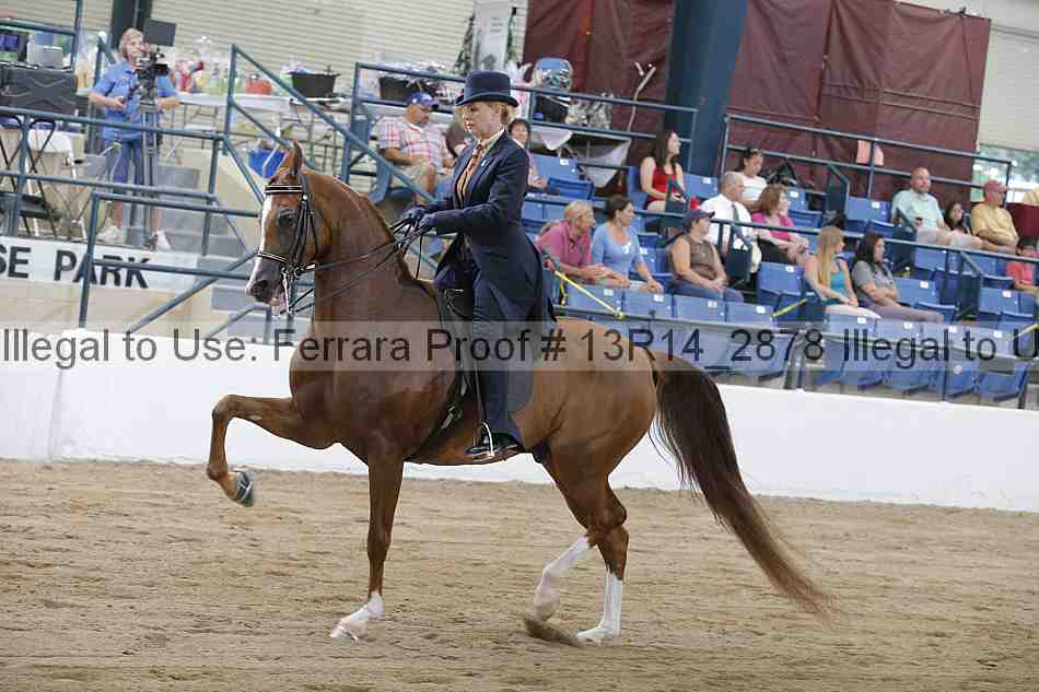 Proof Number 13r14_2878