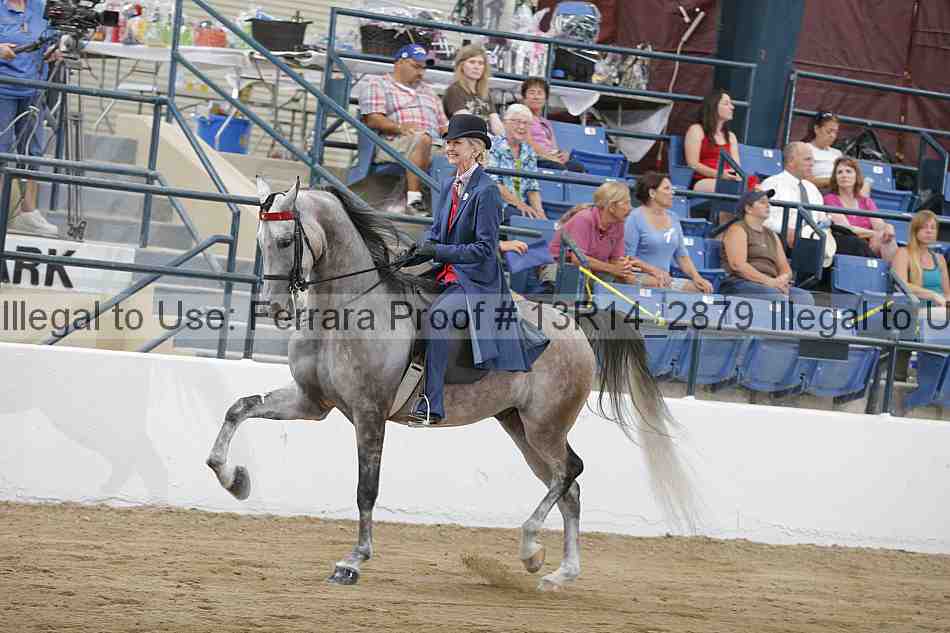 Proof Number 13r14_2879