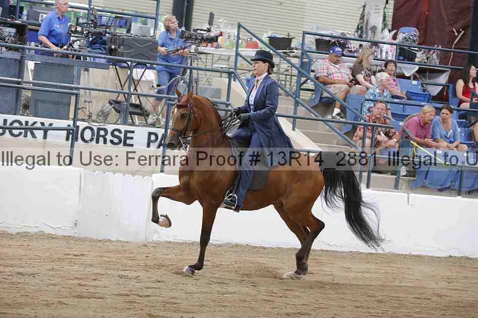 Proof Number 13r14_2881