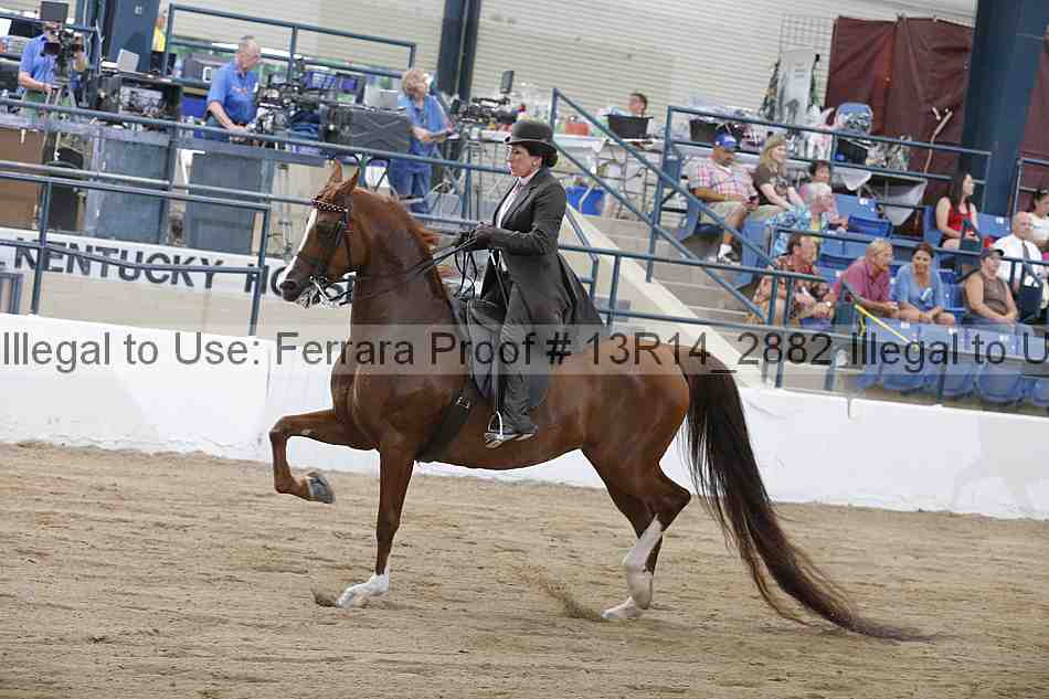 Proof Number 13r14_2882
