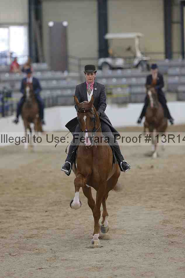Proof Number 13r14_2883