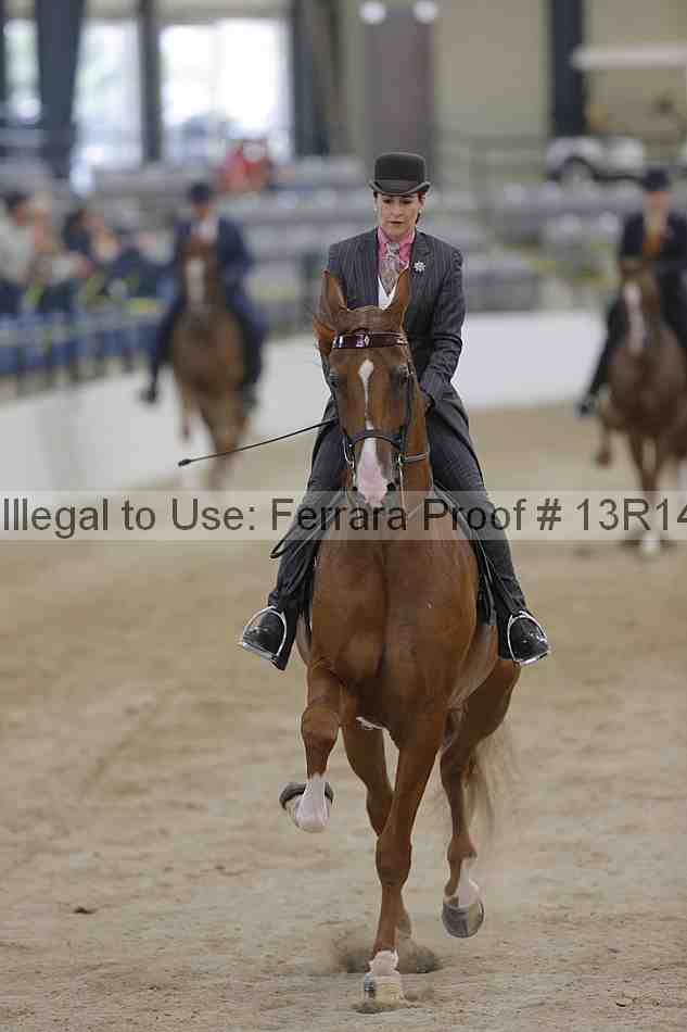 Proof Number 13r14_2884