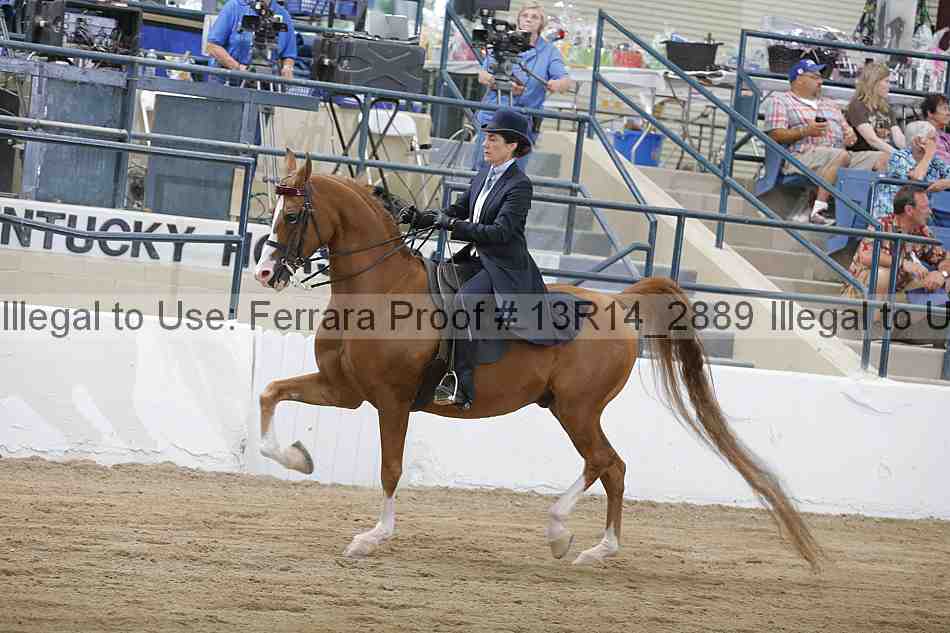 Proof Number 13r14_2889
