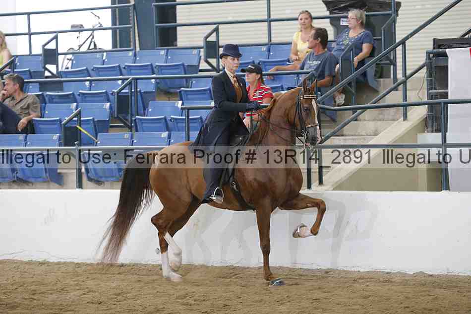 Proof Number 13r14_2891