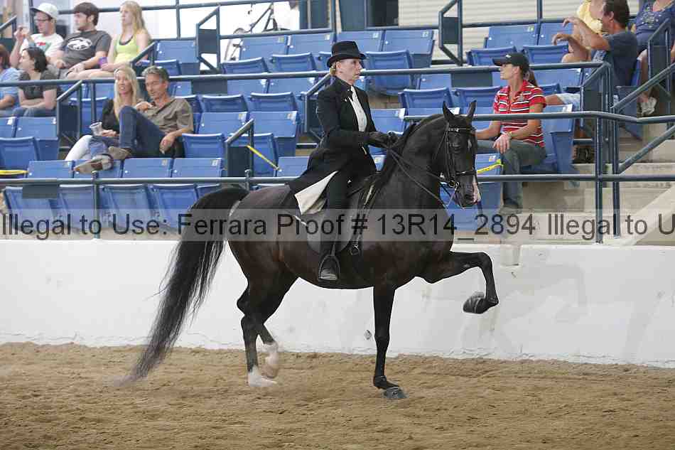 Proof Number 13r14_2894