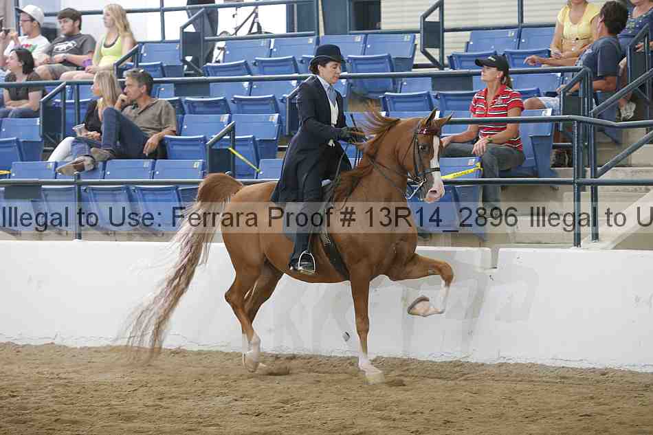 Proof Number 13r14_2896