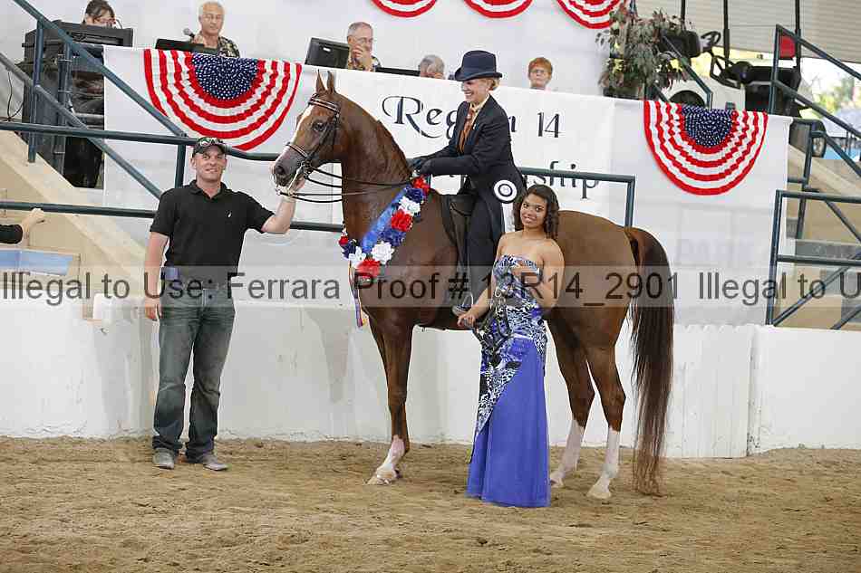 Proof Number 13r14_2901