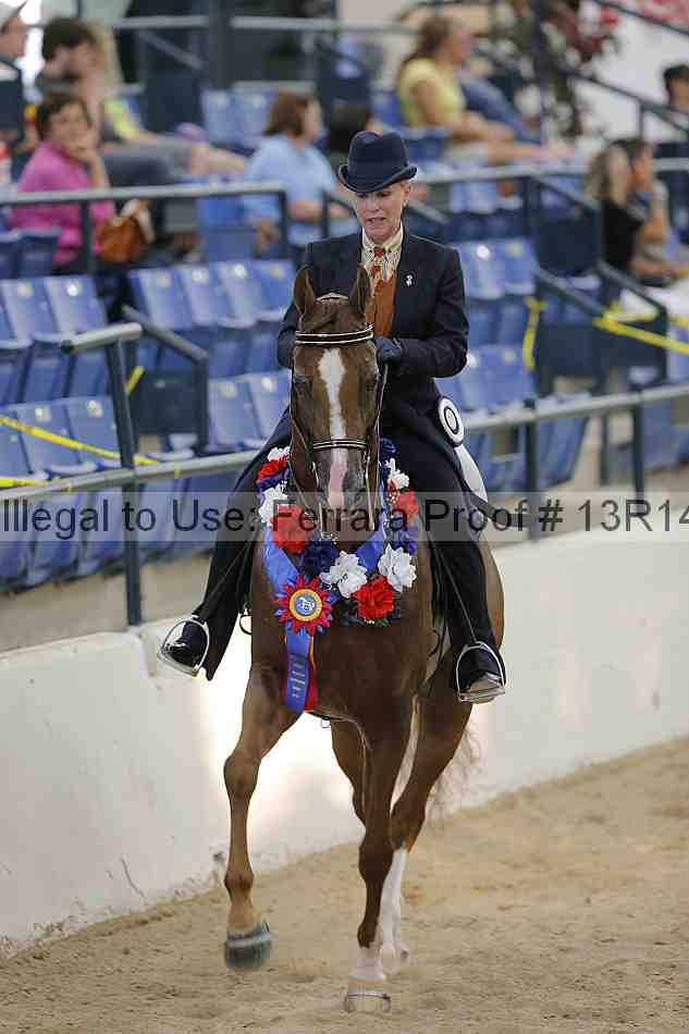 Proof Number 13r14_2903