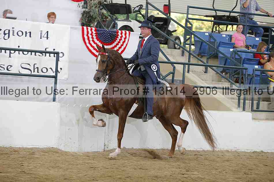 Proof Number 13r14_2906