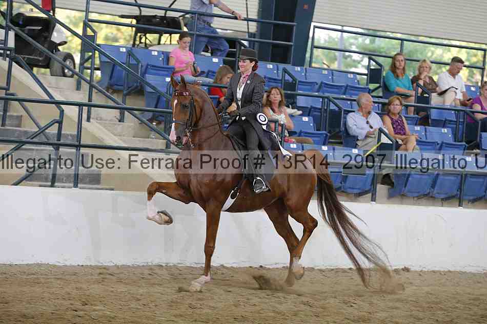 Proof Number 13r14_2907