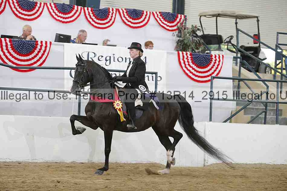 Proof Number 13r14_2915