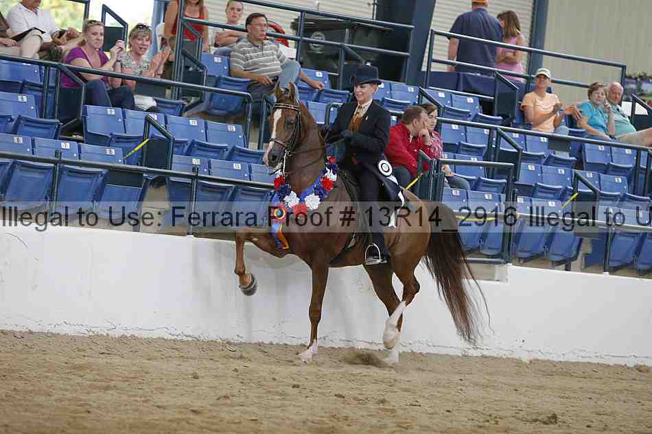Proof Number 13r14_2916