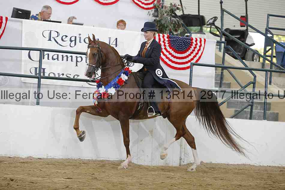 Proof Number 13r14_2917