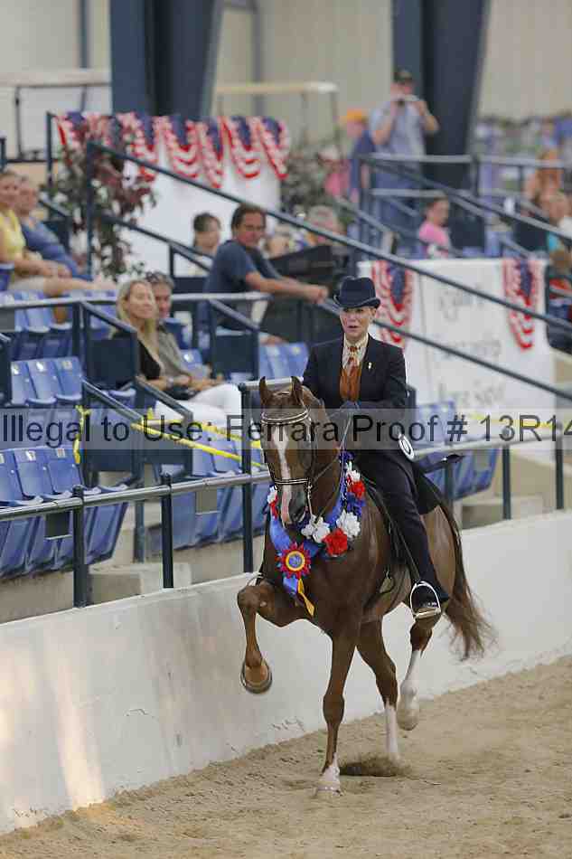 Proof Number 13r14_2919