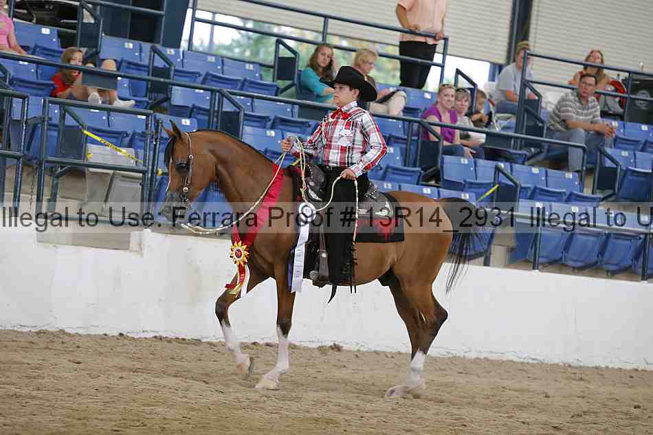 Proof Number 13r14_2931