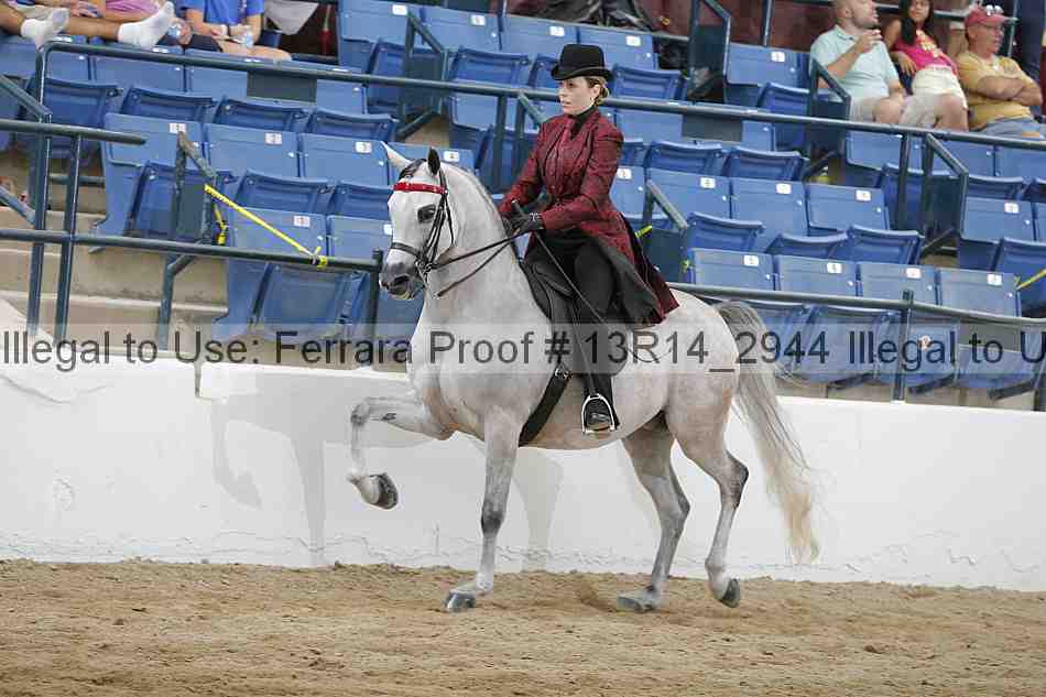 Proof Number 13r14_2944