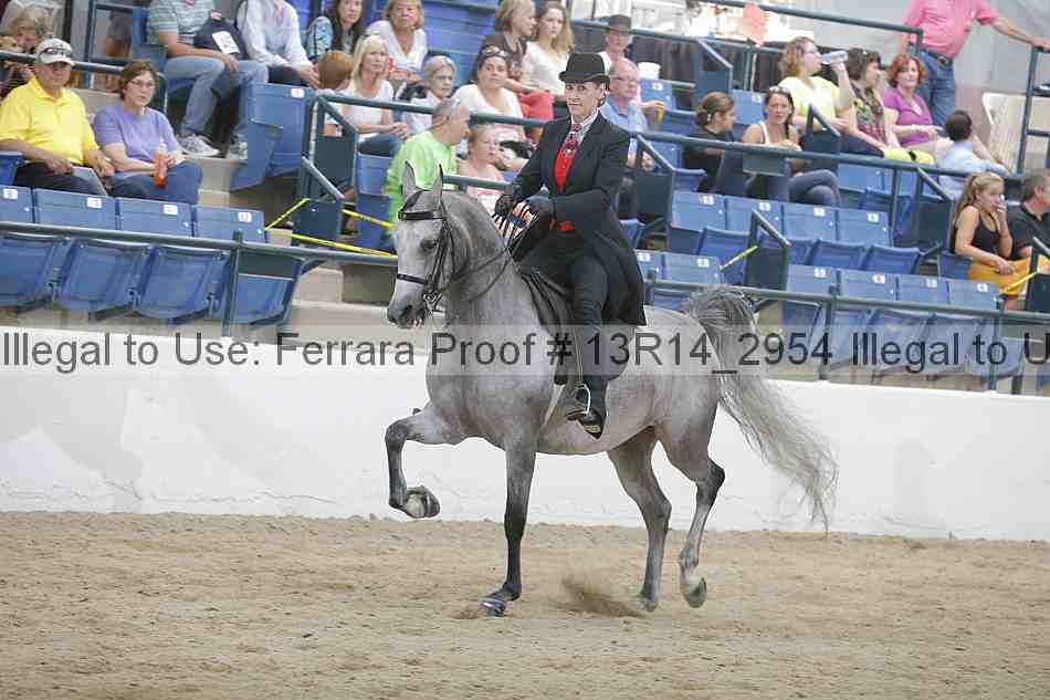 Proof Number 13r14_2954