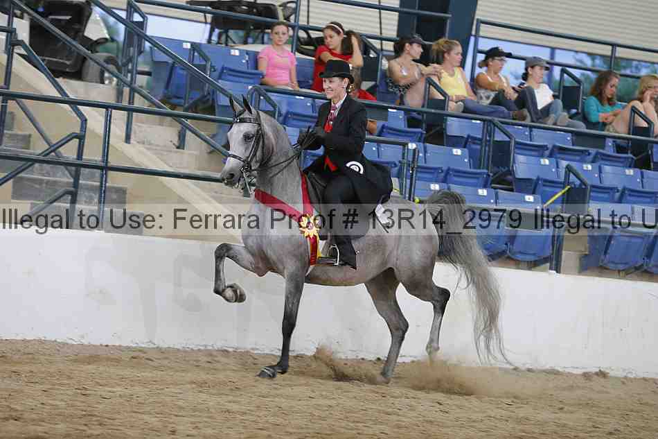 Proof Number 13r14_2979