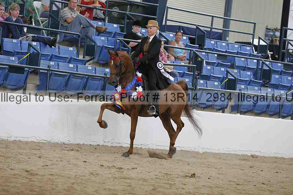 Proof Number 13r14_2984