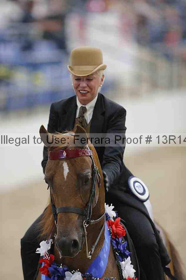 Proof Number 13r14_2988
