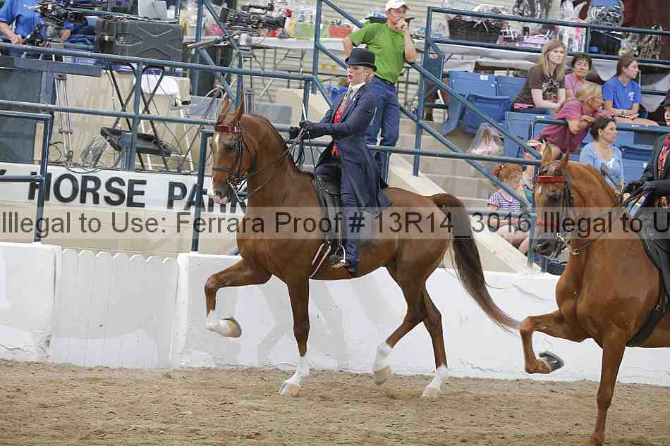 Proof Number 13r14_3016