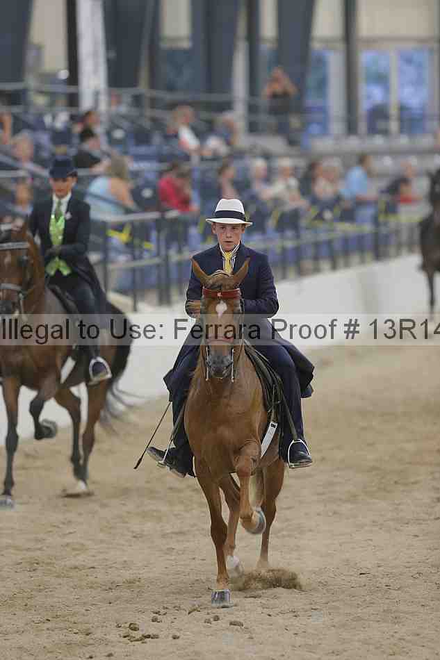 Proof Number 13r14_3017