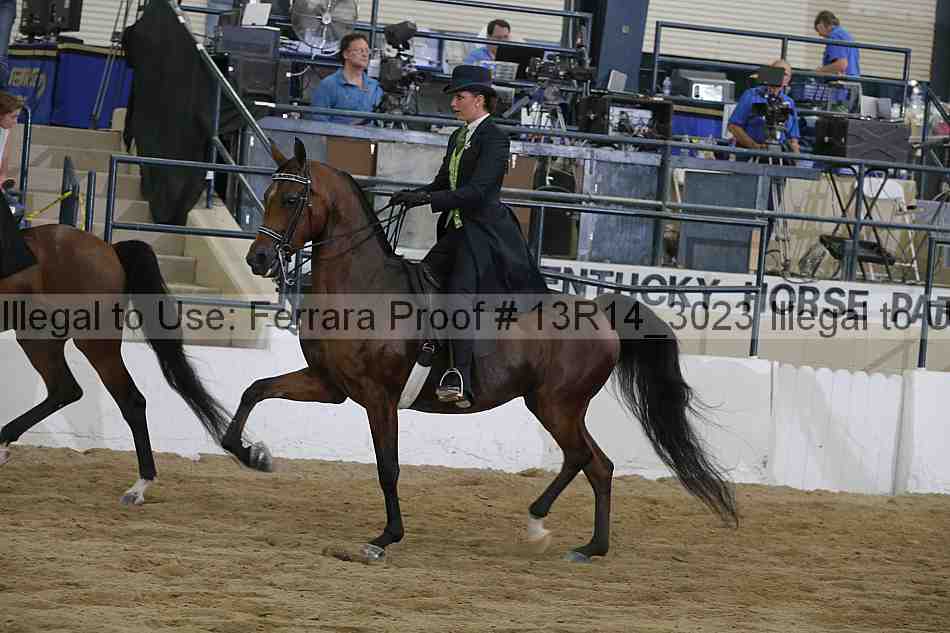 Proof Number 13r14_3023