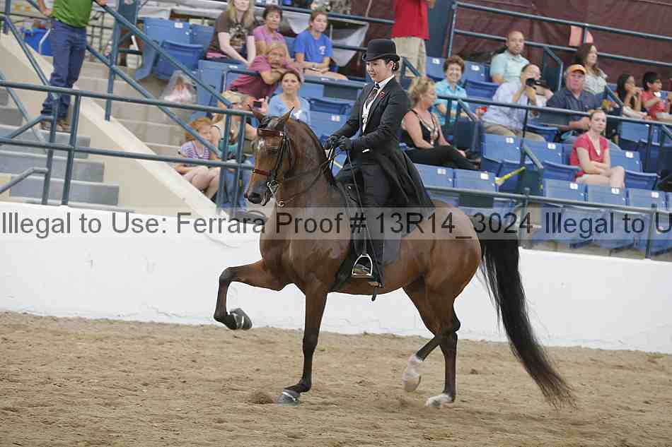 Proof Number 13r14_3024