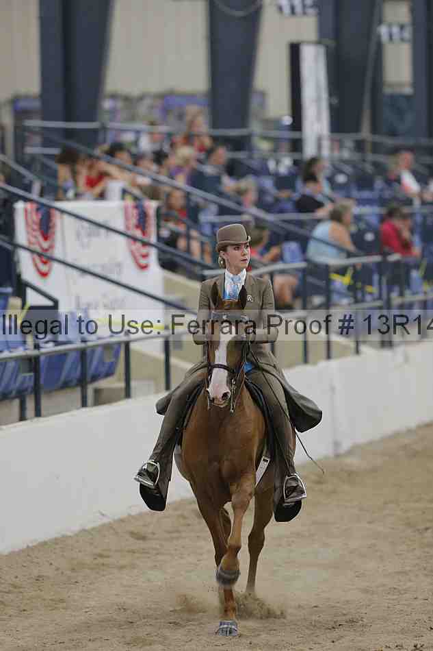 Proof Number 13r14_3025