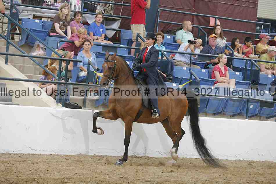 Proof Number 13r14_3027