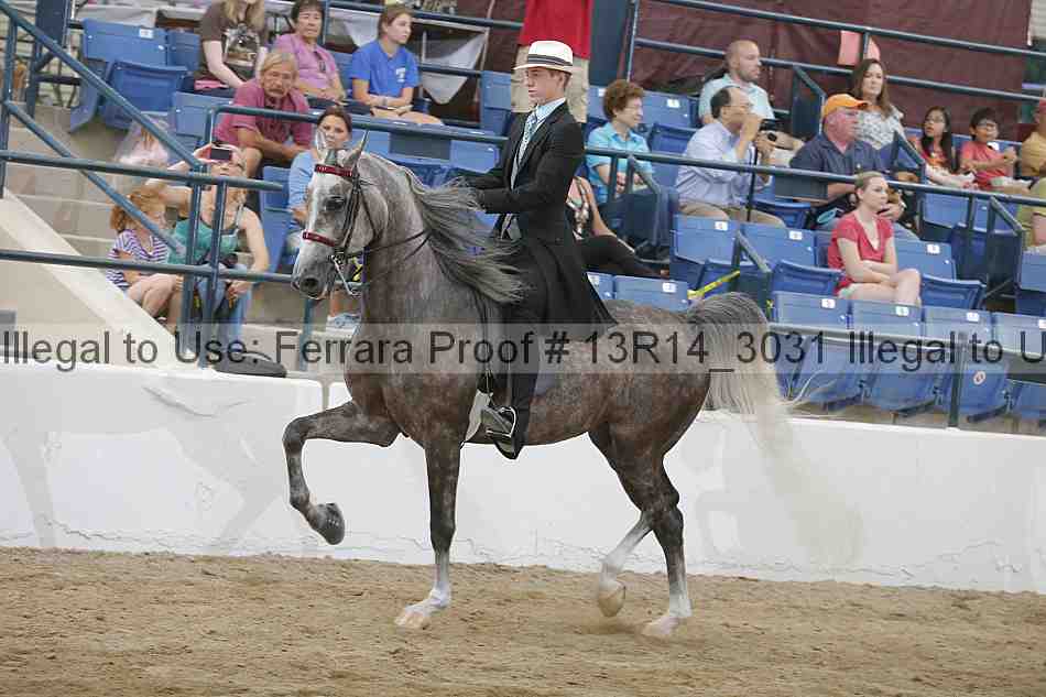 Proof Number 13r14_3031