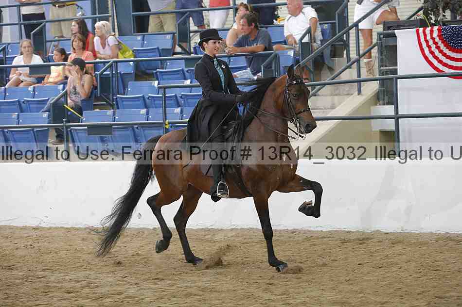 Proof Number 13r14_3032