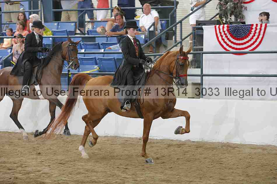 Proof Number 13r14_3033