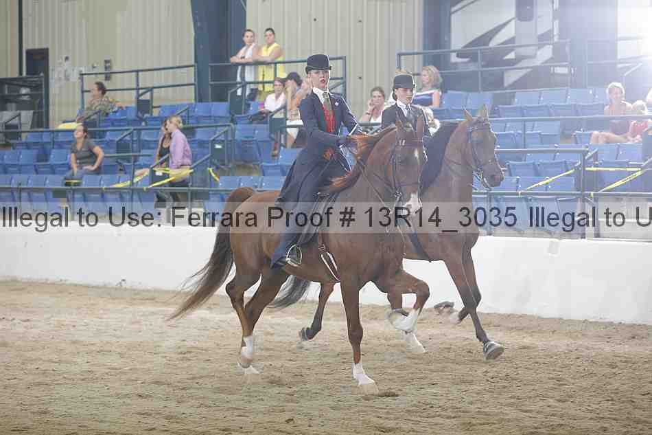 Proof Number 13r14_3035