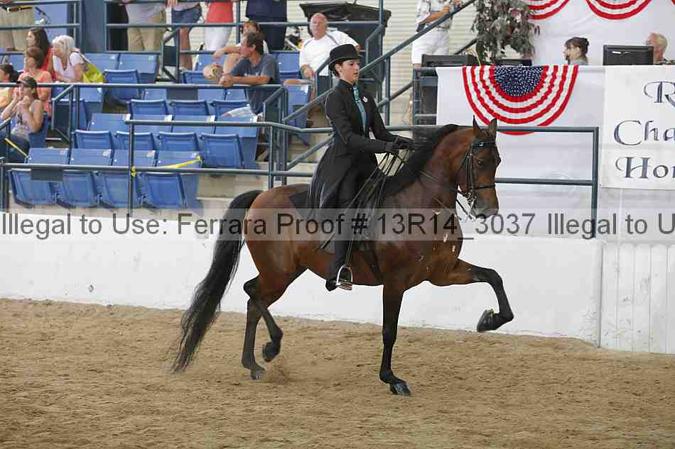 Proof Number 13r14_3037